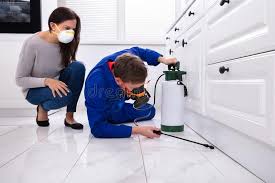 Emergency Pest Control Services in Inverness, FL